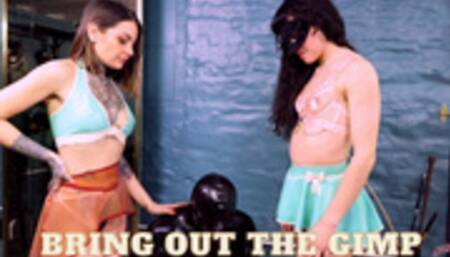 Bring Out The Gimp