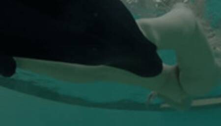 266 - A Scene After the Scene (720p)