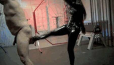 BUSTING HIS MANHOOD Starring Goddess Miki (IPAD Version)