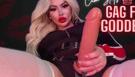 Cum Sluts Gag for Goddess (1080 WMV)