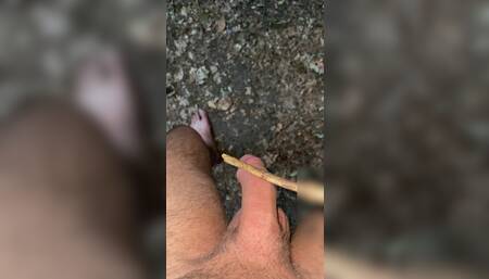 Forest Spanking With Stick