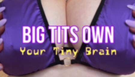 Big Tits Own Your Tiny Brain