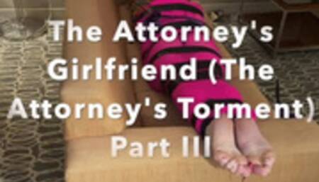 The Attorney's Girlfriend (The attorney's torment) Part 3