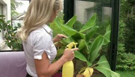 COUGAR ANAL FOR SON'S FRIEND