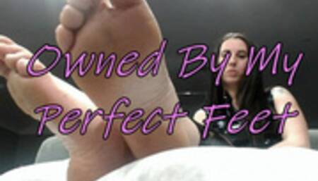 Foot bitch- loser reminder