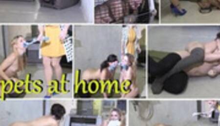 pets at home - mp4 720p