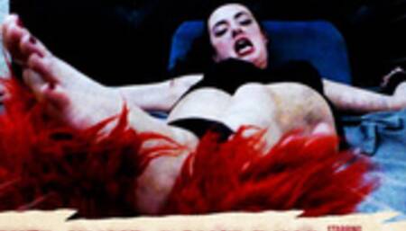 Wicked Ways Don't Pay 1080HD MP4 - Starring Ama Rio