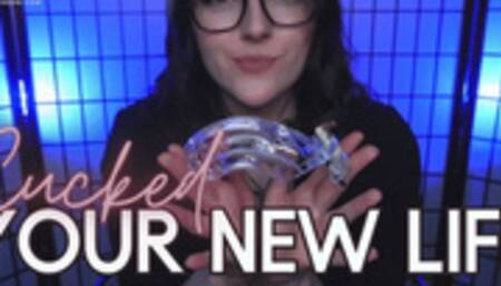 Cucked, Your New Life