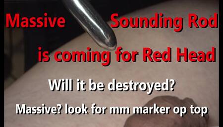 Massive Hegar Rod Comes for Big Red Head