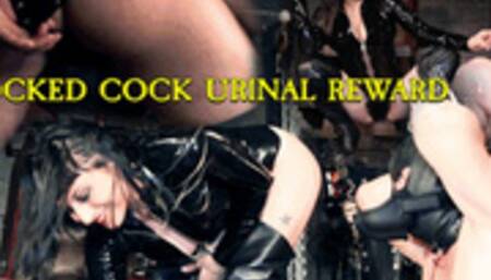Shocked Cock Urinal Reward