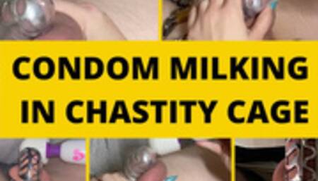 Chastity Caged Cock Milked in Condom