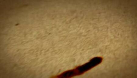 Sexy Lesbian Nuru Massage