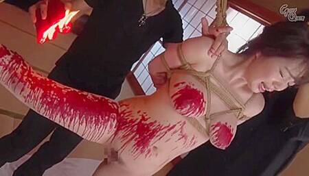 [gvg-588] Rope-crazed Woman Miyu Saito Scene 2 P2