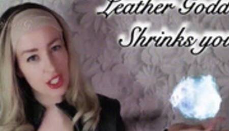 Leather Goddess Shrinks you