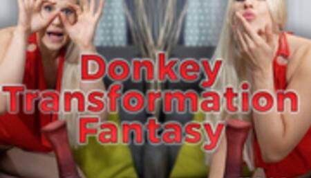 Donkey Magic Transformation JOI - MP4 720p SD