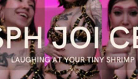SPH JOI CEI:LAUGHING AT YOUR TINY SHRIMP by Devillish Goddess Ileana