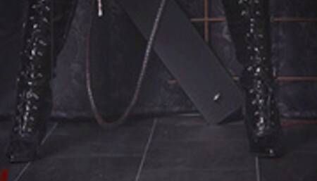 Shiny Catsuit And A long Bullwhip (HDTVWMV) – Lady Amira