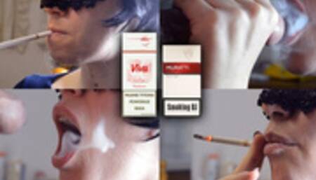 VIVA 120s red and Muratti 120s red smoking BJ 2