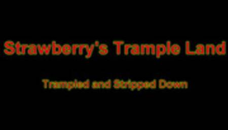 Trampled And Stripped Down