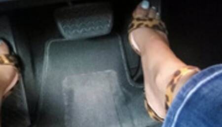 Hard Sexy Driving in Lexus RX 350