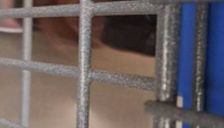 ASMR GROCERY SHOPPING AT BIG BOX STORE