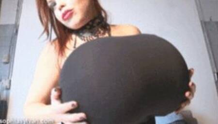 The Bionic Boob Hitwoman 720p wmv