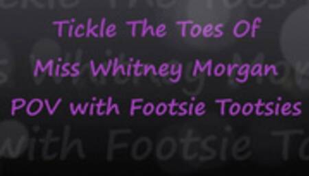 Tickle The Toes Of Miss Whitney Morgan - wmv