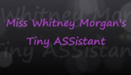 Miss Whitney Morgan’s Tiny ASSistant - mp4
