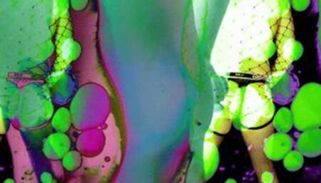 Solo Man CD MINDFUCK