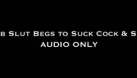 Dumb Slut Begs to Suck Cock and Serve AUDIO ONLY