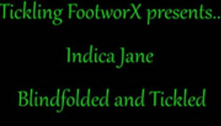 Indica Blindfolded and Tickled