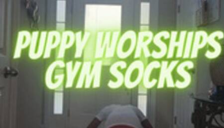 Puppy worships Gym Socks