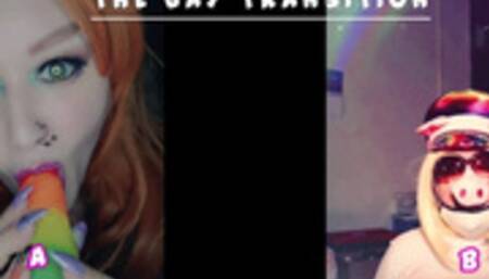 The Gay Transition THIS IS YOUR STARTING POINT NEWBIES