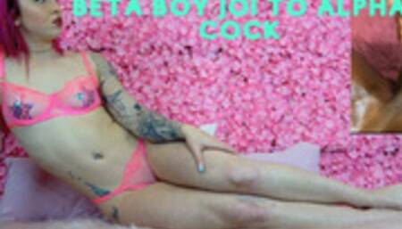 Beta Boy JOI to Alpha Cock