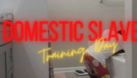 Domestic Slave Training Day