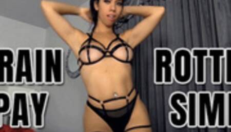 Brain rotted pay simp