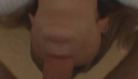 Mature Lisa Sucked My Dick And Swallowed My Cum While I Film Her Point Of View! (2nd half wmv)