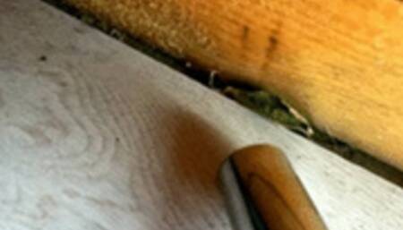 Dirt before the party wmv