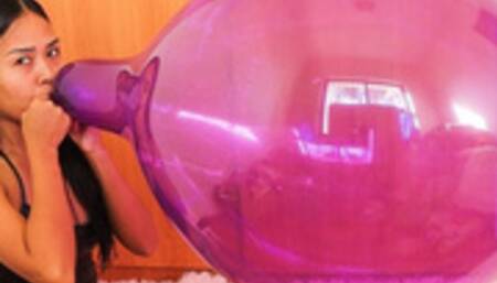 Your Sexy Cousin Camylle Blows To Pop Your 17Inch Tuftex Crystal Balloon