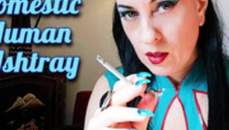 Domestic Human Ashtray
