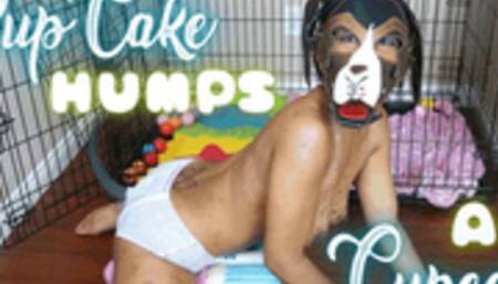 PupCake Humps A Cupcake - PETPLAY PULLUP PILLOW HUMPING IN 1080