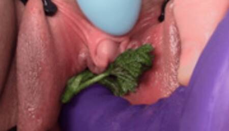 stinging nettle dildo fuck