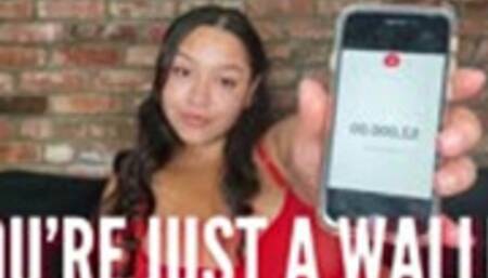 You're Just A Wallet: FinDom Humiliation