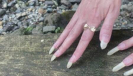 Nails scratching wood, destroying trunk and some nails show