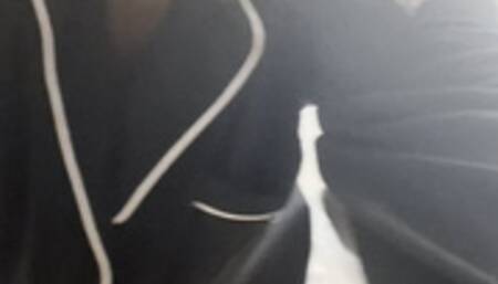 Jet lag, gas and toilet