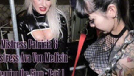 Pegging the Gimp with Mistress Ava Von Medisin - Part 1 720p