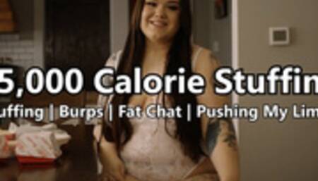 15000 Calorie Stuffing