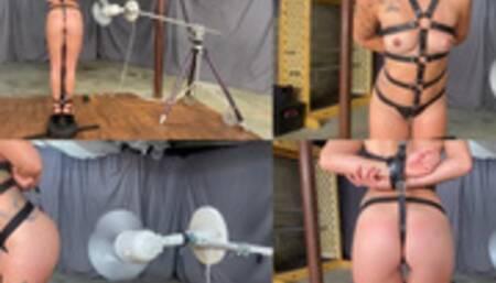 Amanda Robin Objectification Turntable with Whip Fan