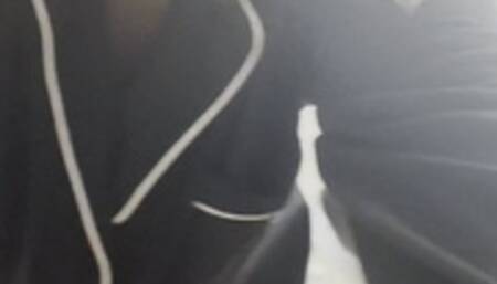 Jet lag, farts and toilet mp4 x