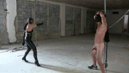 Cat Woman Bullwhips Batman (WMV HD)